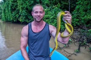 Kinabatangun River, Borneo