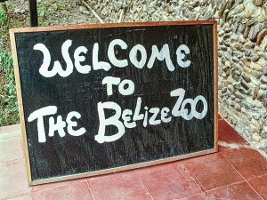 Welcome To Belize Zoo