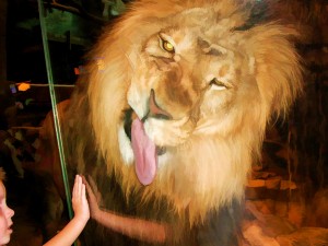 MGM Grand Lion Exhibit