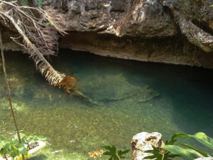 Belize Cave Tubes