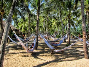 Hammock Island at Xel-Ha