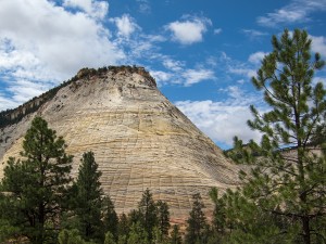 Checkerboard Mesa, Zion Nat. Park