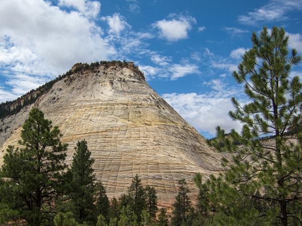 Checkerboard Mesa, Zion National Park