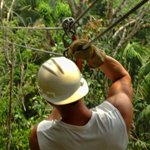 Jungle Canopy Ziplining In Belize