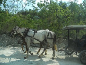 Belize Mennonites