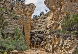 Hiking at Willis Creek