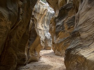 Willis Creek