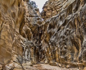 Narrow Slot Canyons