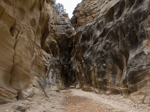 Willis Creek Slot Canyon