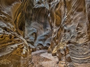 Willis Creek