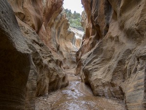 Willis Creek