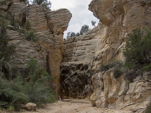 Resting at Willis Creek