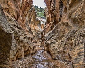 Willis Creek Slot Canyon