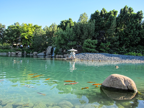 Japanese Friendship Garden Koi Pond