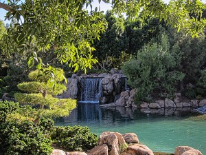 Japanese Friendship Garden Waterfall