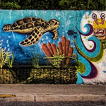 Photo of the Week – Cozumel Street Art
