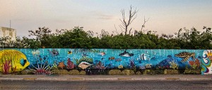 Cozumel Conservation Street Art