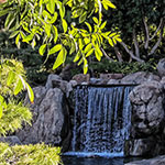 Photo of the Week – Japanese Friendship Garden Waterfall