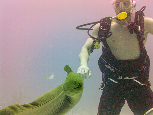 Eel Petting