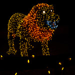 Zoolights Lion