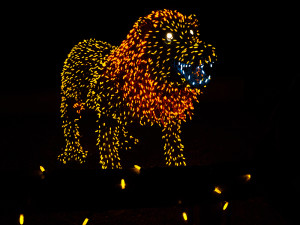 Zoolights Lion