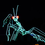 Zoolights Mantis