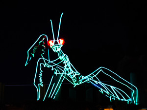 Zoolights Mantis