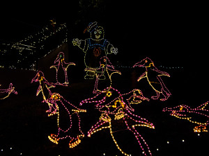 Zoolights Penguins