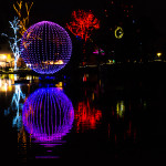 Zoolights Motion Show
