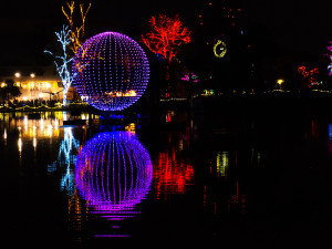 Zoolights Motion Show