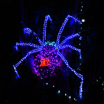 Zoolights Spider