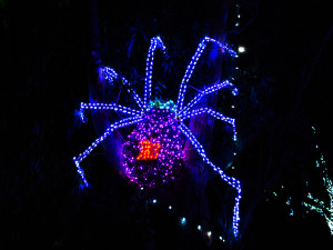 Zoolights Spider