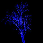 Zoolights "Blue" Tree