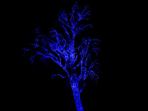 Zoolights "Blue" Tree