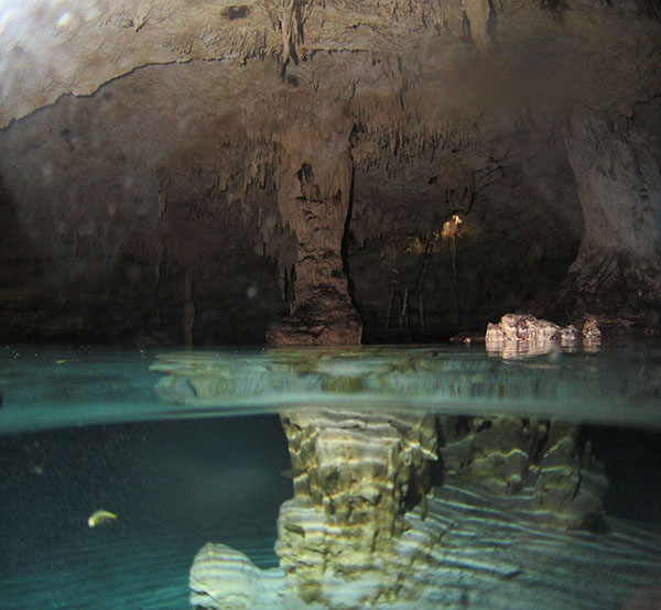 Dos Ojos Bat Cave