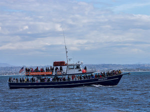 San Diego Whale Watching