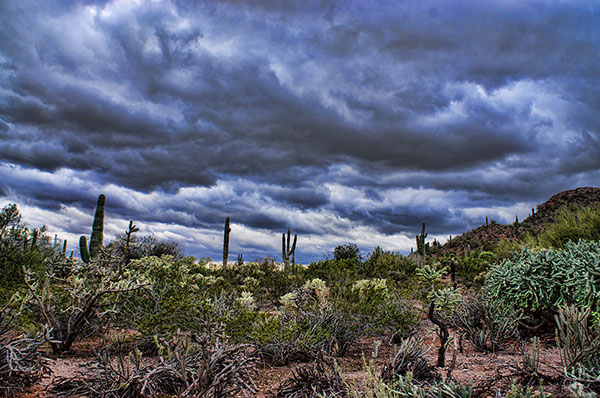 Cloudy Desert