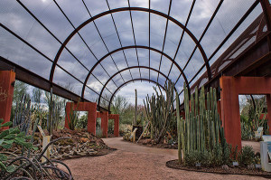 Desert Botanical Garden