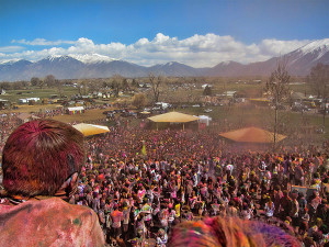 Holi Festival 2013