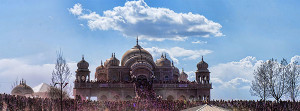 Holi Festival of Colors 2013