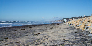 Torrey Pines Beach