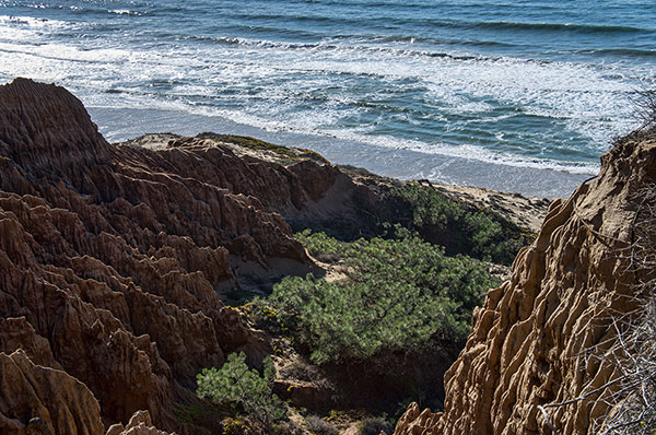 Torrey Pines State Park