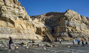 Torrey Pines Hiking Trail