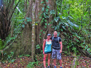 Ceiba Tree