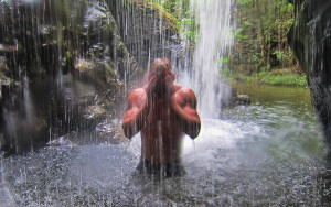 Waterfall Shower