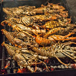 Chowing Down at the Placencia Lobsterfest