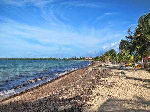 Placencia Beach