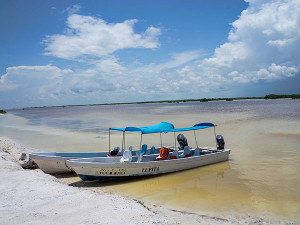 Rio Lagartos Lagoon