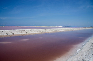 Rio Lagartos Salt Lake