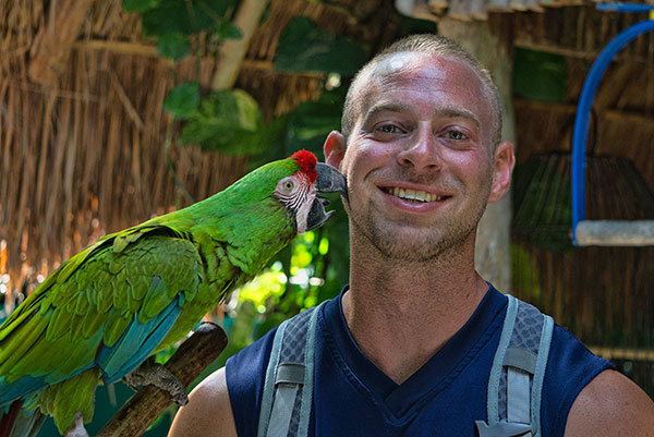 Parrot Kiss